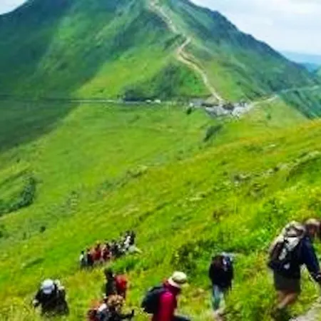 Confortable A Saint-martin, 60 M², Jardin Spacieux Lejlighed Saint-Martin-sous-Vigouroux